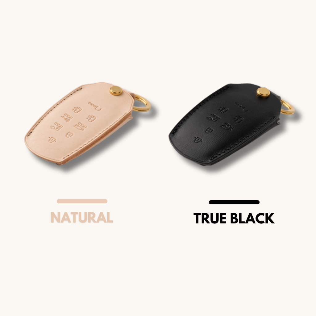 FORD & LINCOLN CARKEY LEATHER CASE (FL1) - Carendy