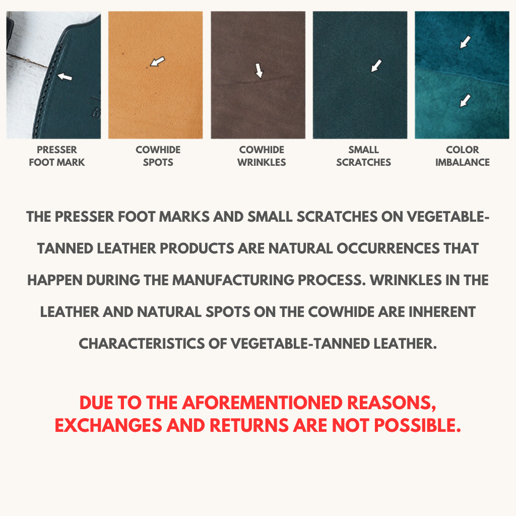 BMW CARKEY LEATHER CASE (BM2) - Carendy