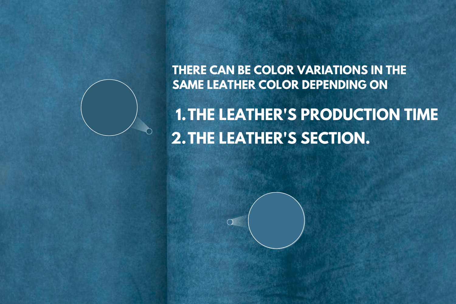 Vegetable_Leather_Guide_CARENDY
